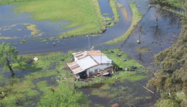 Tras meses de demora, Nación declaró la emergencia agropecuaria en diez distritos bonaerenses 