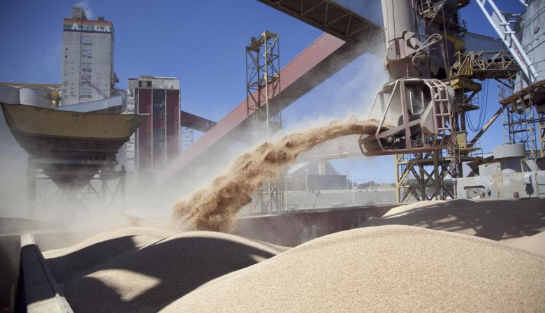 A dónde va la harina de soja argentina: el mapa global de la exportación que genera más dólares