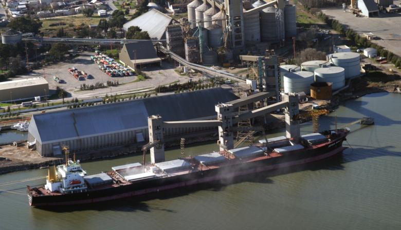 Tras las "retenciones cero", en octubre se derrumbó el ingreso de divisas y se liquidaron USD 1.117 millones