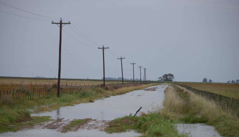 La semana del agro: entre las inundaciones en Buenos Aires, la paritaria aceitera y el trigo récord