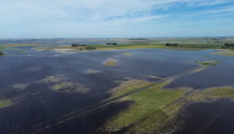 Legislatura bonaerense: luz verde al tratamiento de proyectos para aliviar a productores inundados 