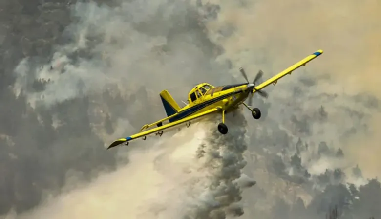 Incendios forestales: Neuquén lanzó una medida clave por cinco meses