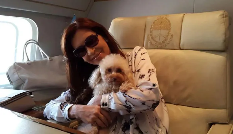 Del adiós a Dylan al adiós a Cleo: el impactante recuerdo de Cristina en su libro