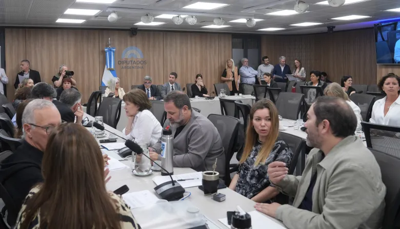 Diputados avanzan con proyectos sanitarios y ponen foco en la detección neonatal