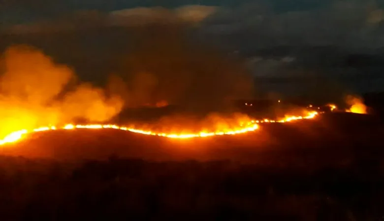 Neuquén oficializó sanciones extremas por incendios forestales: ¿de qué dependerá?