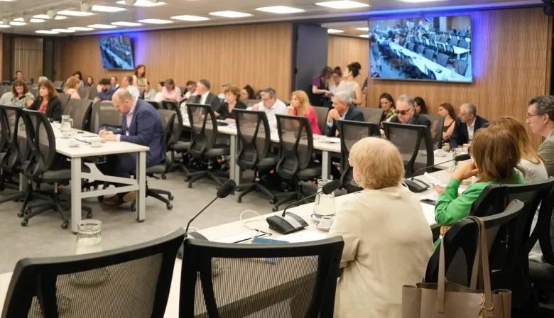 Comisión del Fentanilo: cruce de acusaciones y un informe decisivo el 2 de diciembre