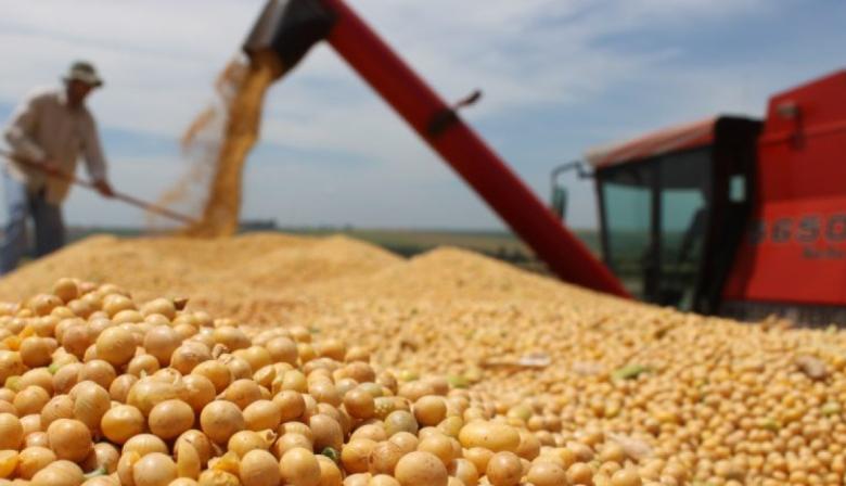 Soja: las exportaciones de la campaña 2024/25 fueron las más altas en diez años
