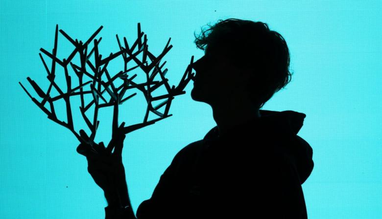 Jannik Sinner, intratable: campeón en París y regreso al N° 1 del mundo