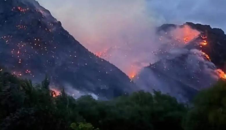 Patagonia: ya se quemaron unas cien hectáreas por incendios forestales en Epuyén