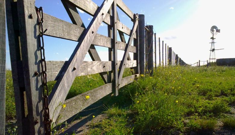 Inmobiliario Rural: desde ARBA responden al campo y afirman que la prórroga de la ley los obliga al cobro