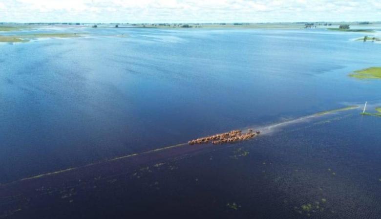 Se agrava el desastre en el campo bonaerense: Ya son 5 millones las hectáreas afectadas por lluvias 