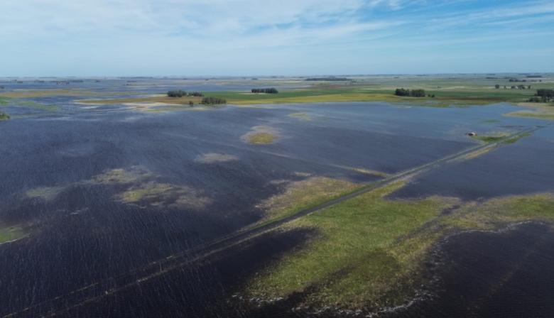 Emergencia agropecuaria: la provincia de Buenos Aires prorroga medidas en seis distritos