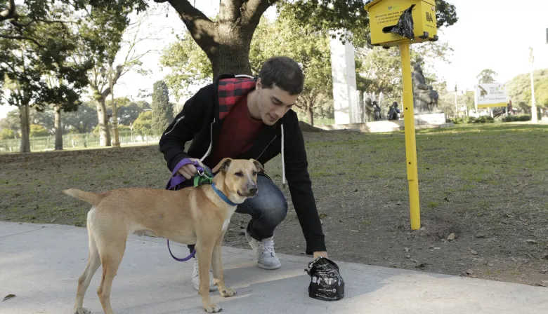 Una diputada propuso que el INDEC haga un censo de mascotas: qué datos incluiría