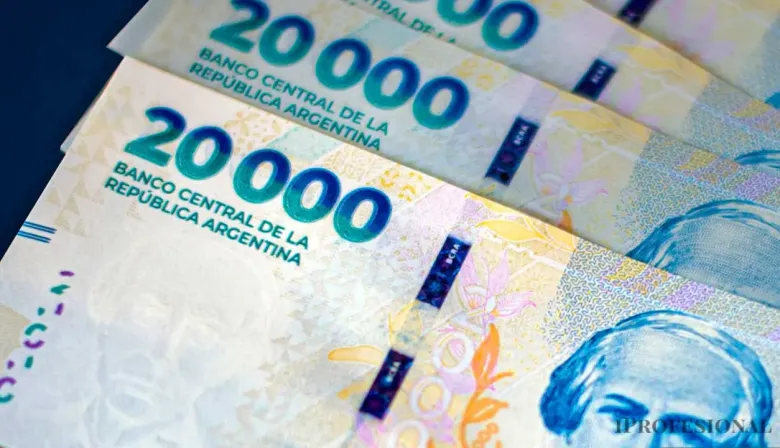 Golpe al bolsillo: el mísero aumento que otorgó el Gobierno