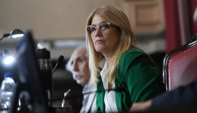Parálisis en el Senado bonaerense: el oficialismo pide sesionar y apuntan a Magario