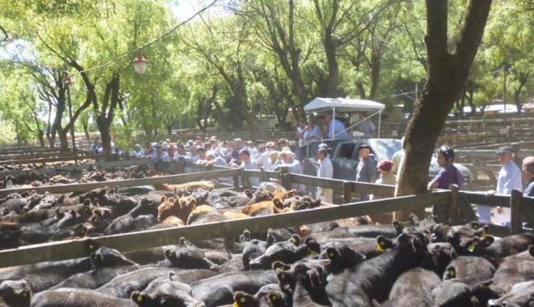 “Hubo valores nunca vistos”: la ganadería en Buenos Aires cierra un año histórico, pero detecta señales de alerta 