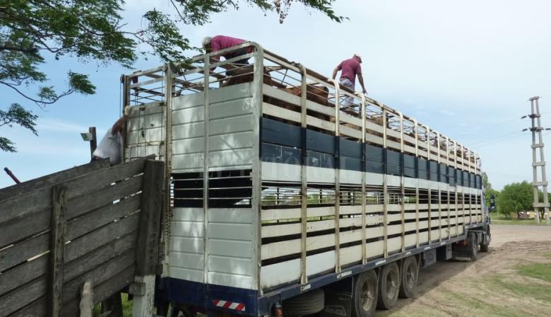 Cómo quedó el mapa de las tasas ganaderas en los municipios de Buenos Aires para el 2026