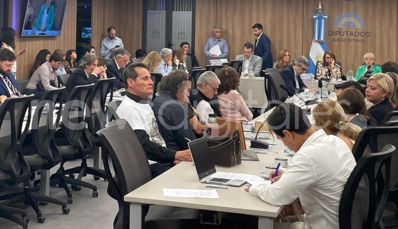 Comisión del fentanilo presenta sus hallazgos: convocatoria fallida al Gobierno