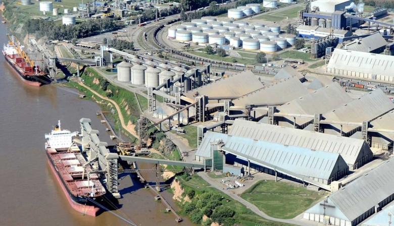 En 2025, la agroindustria cerró el año con exportaciones por USD 31.338 millones