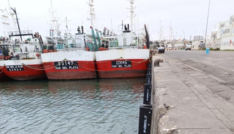 Desde Mar del Plata empujan un plan para la pesca bonaerense: “El potencial es enorme”