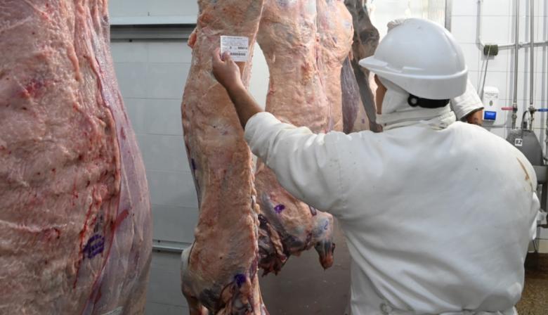 El ROSGAN alertó por la fuerte dependencia de China en las exportaciones de carne vacuna