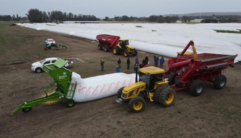 Precios estables, nuevos hábitos y rentabilidad en duda: el balance 2025 en la venta de agroinsumos