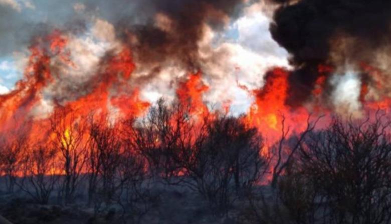Incendios en La Pampa: “Ahora se debe asistir al productor pero falta planificar en invierno”