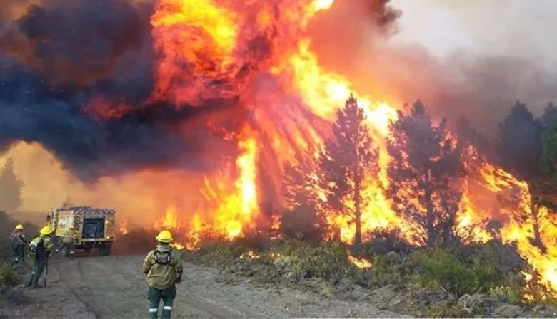 Quemar para producir: cuando el bosque entra en la lógica de la renta