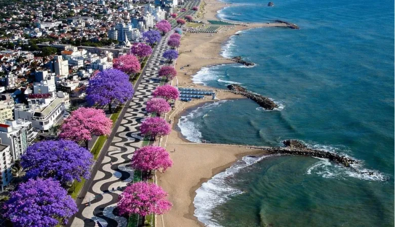 Costa de Mar del Plata: el tuit viral de un excandidato que desató la polémica