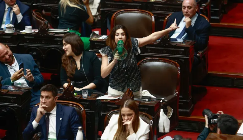 ¿Cárcel para funcionarios? El plan de Pagano por los incendios en la Patagonia