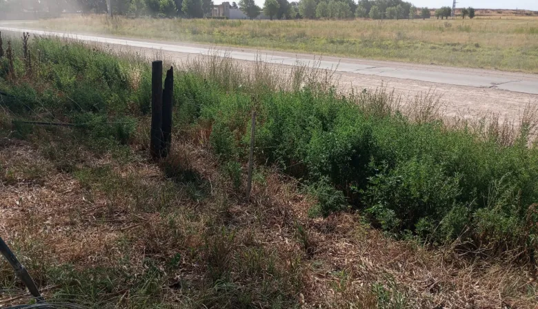 “Para nada fue un robo”: La grave denuncia de un productor tambero que votó contra la suba de tasas