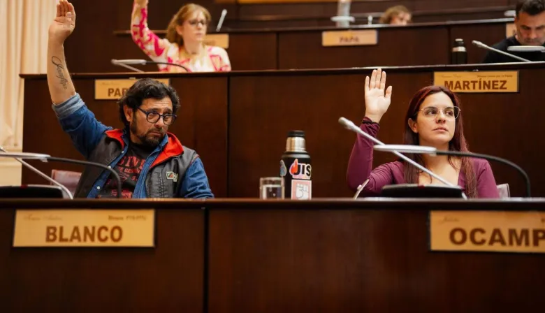 Polémica en Neuquén: un proyecto dejaría sin sueldo a los políticos por plagio