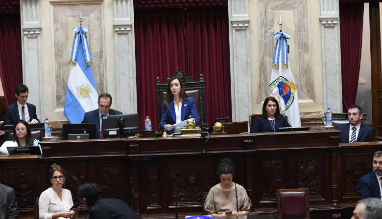 Villarruel en el centro de la escena: la sesión del Senado que agita la interna liberal