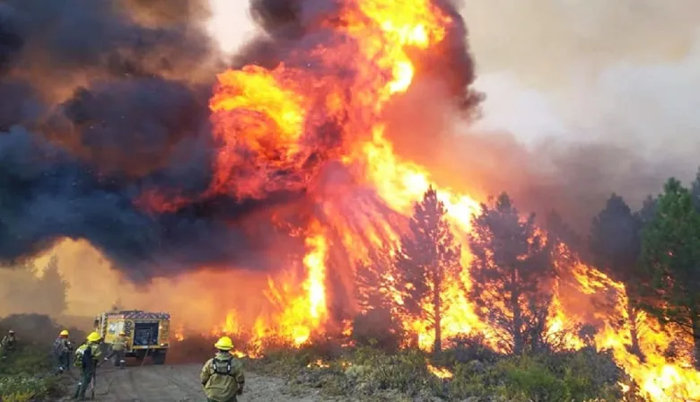 La UCR impulsa tipificar el ecocidio en el Código Penal y exige reforzar el Manejo del Fuego