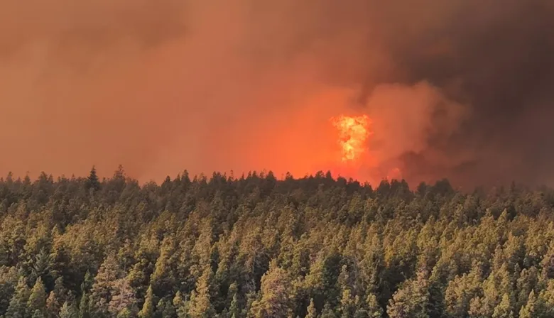 Emergencia Ígnea en debate: cómo podría cambiar la ayuda a la Patagonia