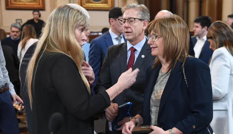 Bullrich, reforma laboral y 10 votos de oro: qué busca la UCR y cómo juega Valdés