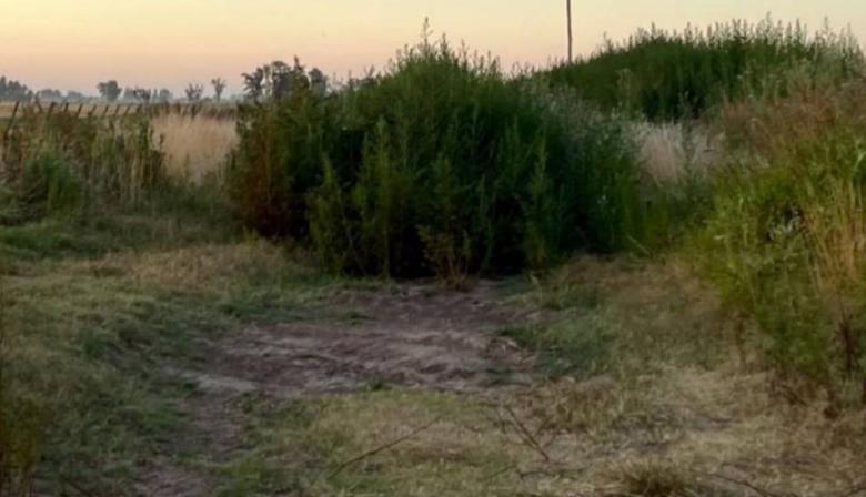 En 9 de Julio, los caminos rurales siguen a la miseria: “La ayuda nacional fue tarde e insuficiente”