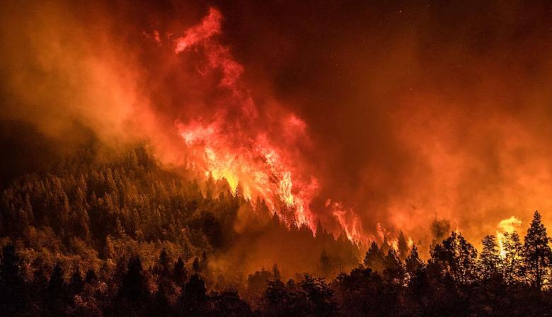 Alerta roja en Argentina: 16 provincias enfrentan riesgo extremo de incendios forestales