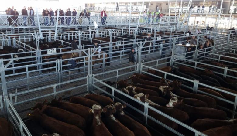 Los aumentos en el precio de la hacienda vacuna duplicaron a la inflación