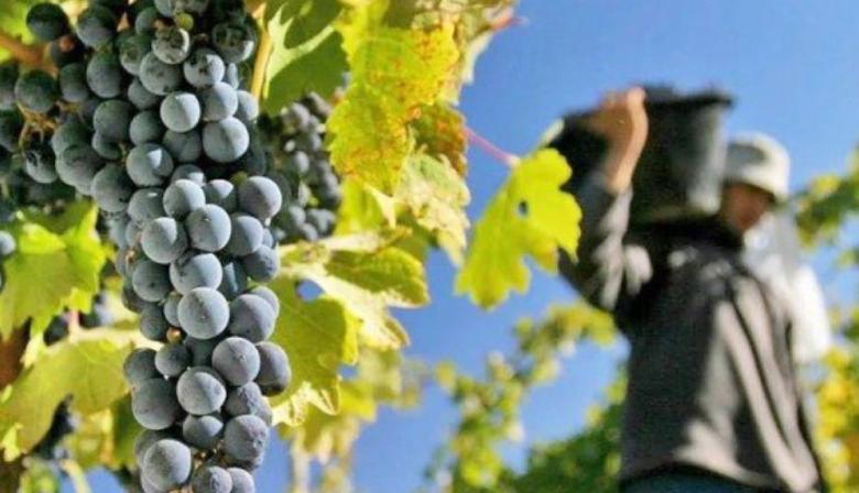 Gremios niegan una crisis en la industria del vino y denuncian maniobras para ensuciar paritarias