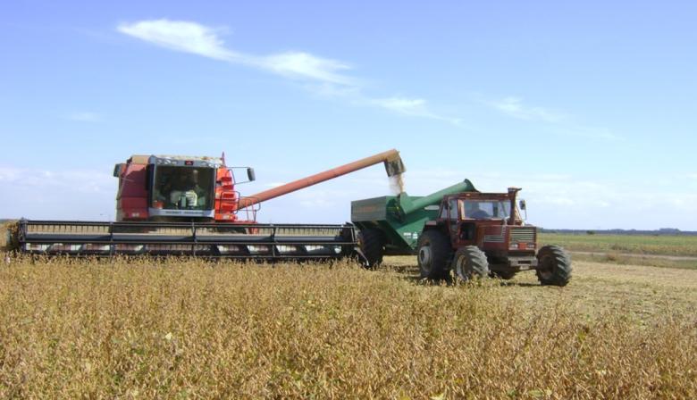 El clima define la campaña: en cuánto ajustó la BCR la proyección en soja para la zona Núcleo