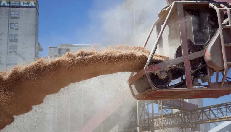 Soja y girasol, con récord de molienda y exportaciones en cifras históricas