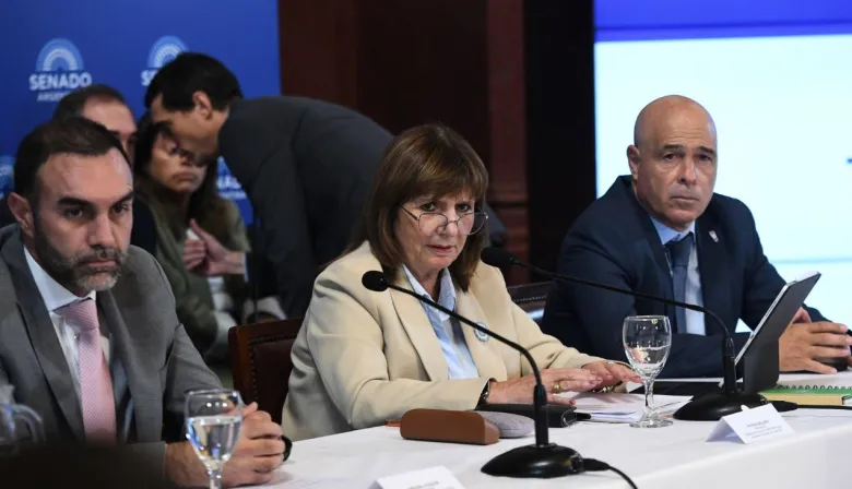 "No van a alcanzar los helicópteros": el duro cruce de Bullrich en el Senado por el 2001