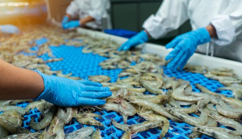 Con el impulso de China, la industria pesquera cerró 2025 con exportaciones por USD 2.066 millones