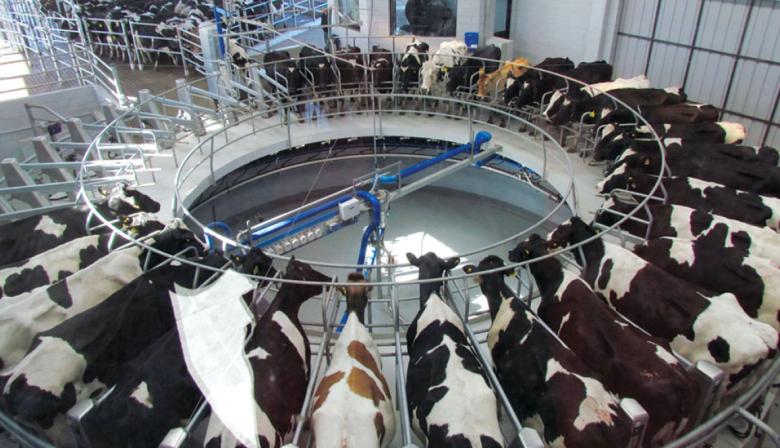 CRA advirtió que la carga impositiva sobre los tambos llega al 42% de sus ventas