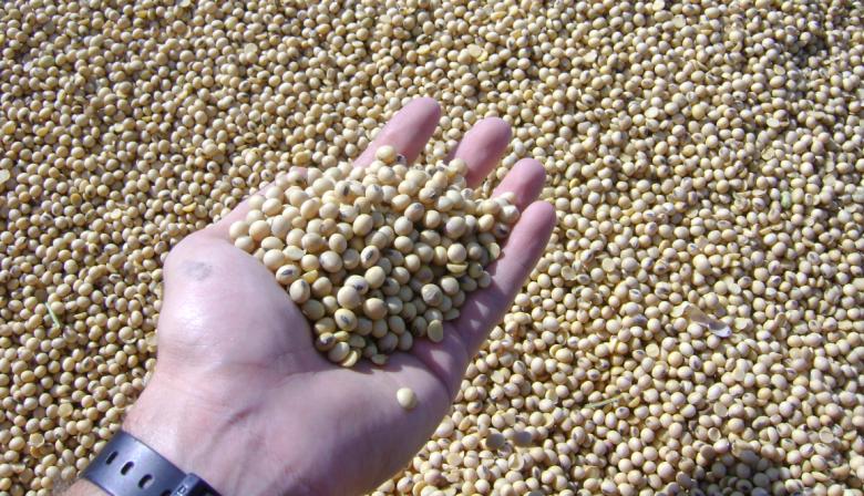 China aceleró compras y marcó un récord de 112 millones de toneladas de soja