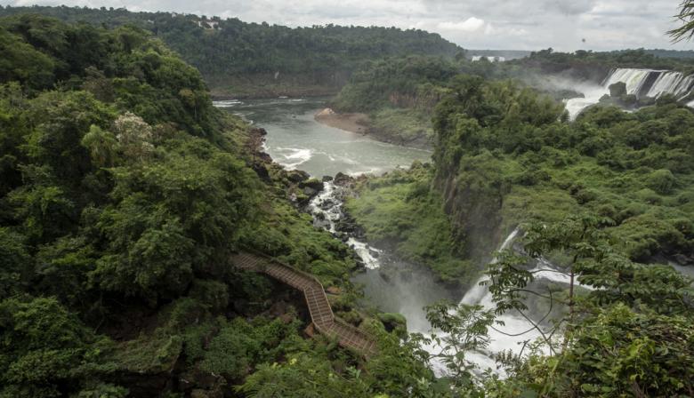 Conocé cuáles son los diez proyectos de certificación de carbono que revolucionan el agro argentino