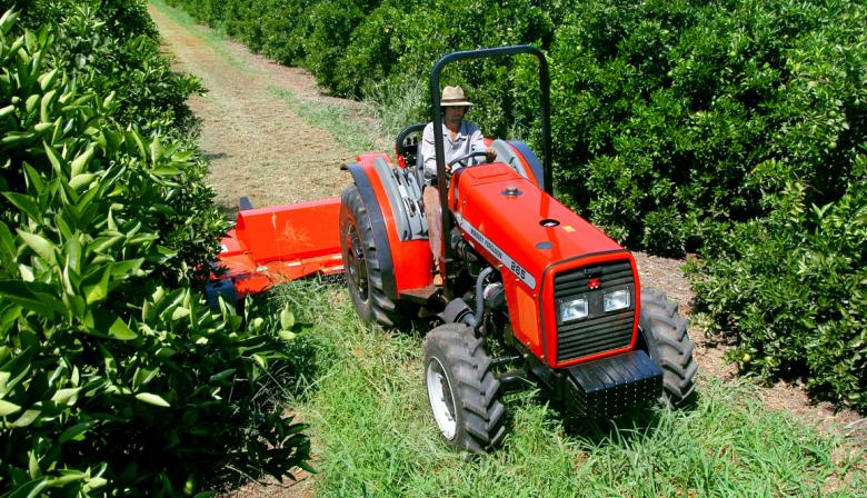 Semáforo de CONINAGRO: más economías regionales en amarillo y rojo