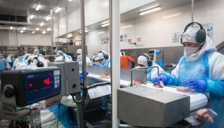 El Gobierno confirmó la reapertura del mercado europeo para las exportaciones aviares