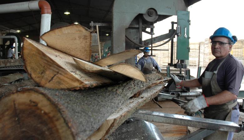 Las exportaciones, claves para sostener un 2025 complejo para la industria forestal